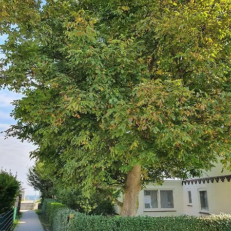 아파트 Hagelstein Iii 